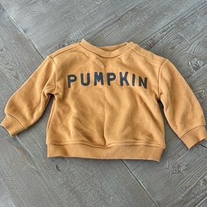 Little Co Pumpkin Sweatshirt